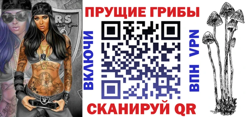 Галлюциногенные грибы Psilocybine cubensis купить наркотик Омутнинск