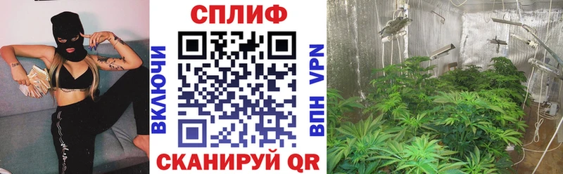 купить Омутнинск Канабис Bruce Banner